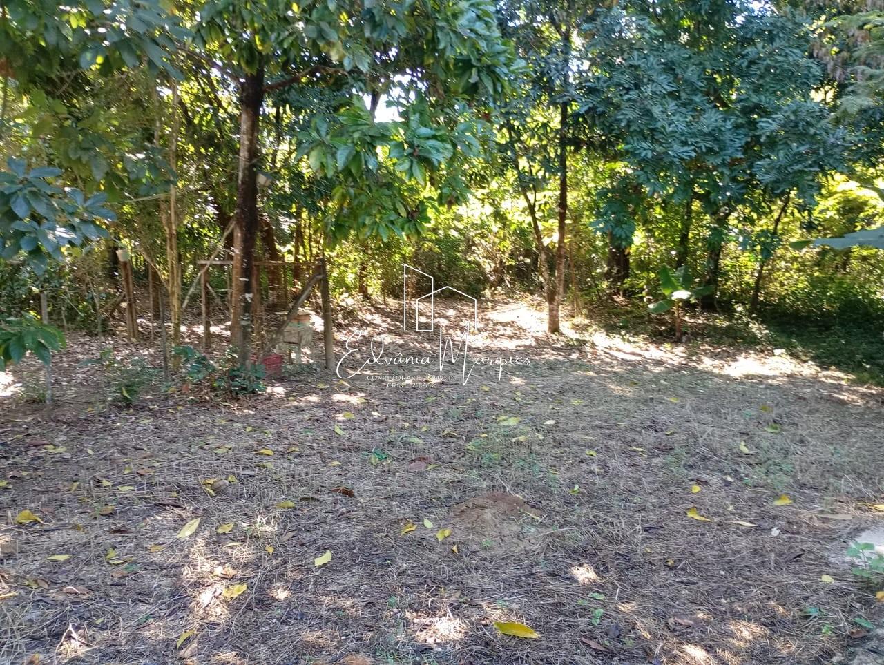 Chácara, 3 quartos, 1500 m² - Foto 14