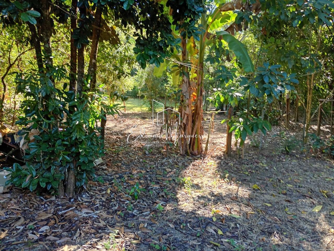 Chácara, 3 quartos, 1500 m² - Foto 17